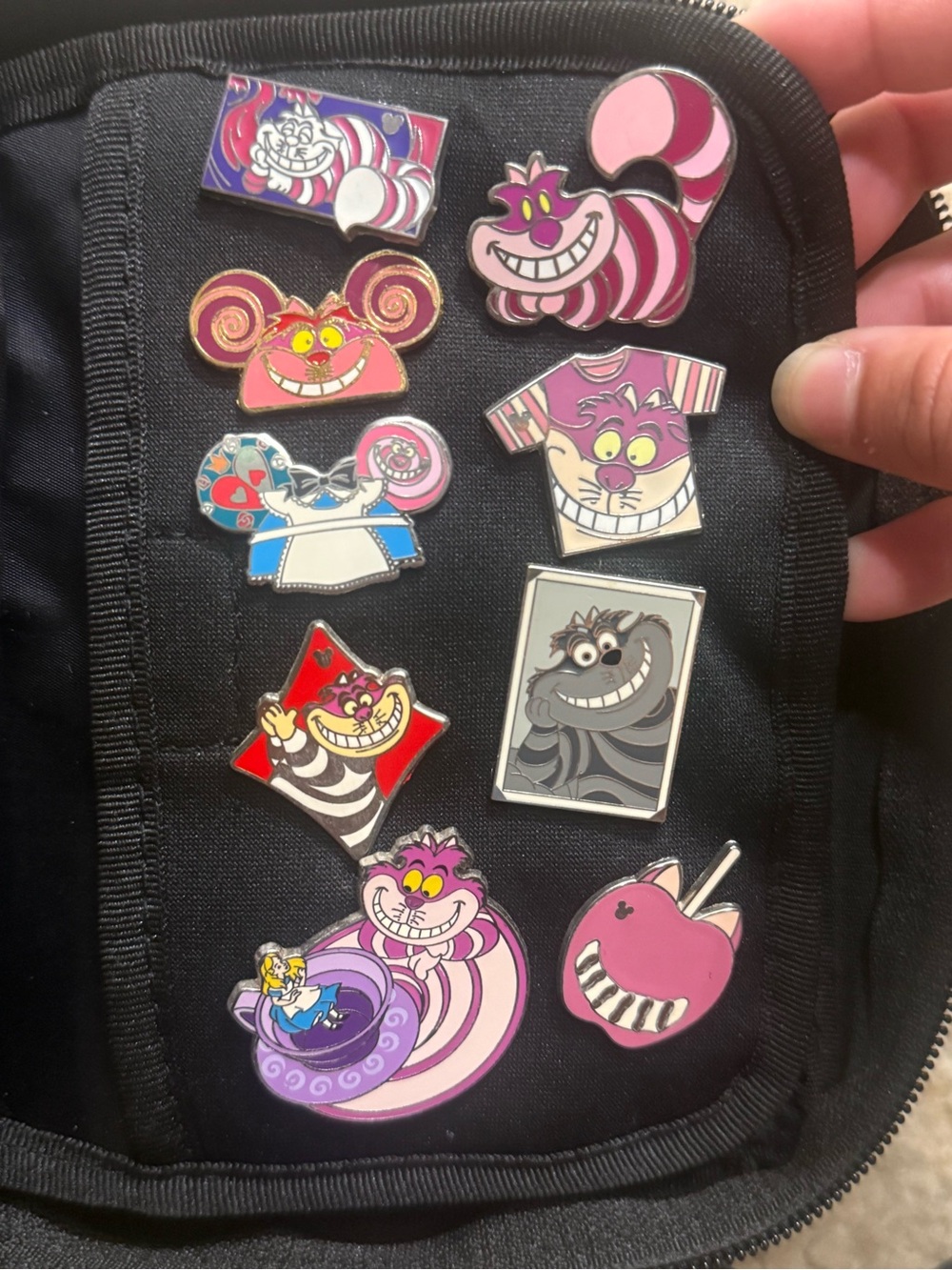 Disney Chesire Cat Pins Collection
